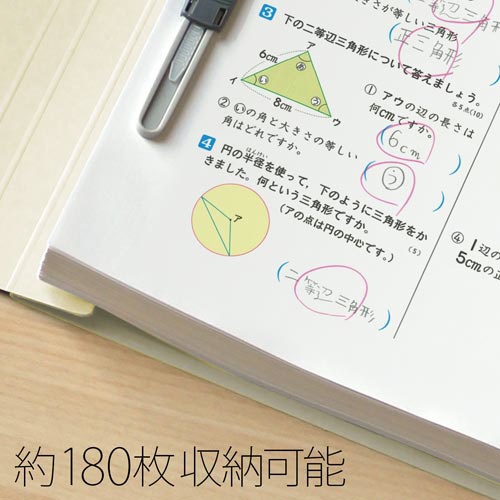 フラットＦ　年組氏名Ａ４タテ　アイボリー１０冊