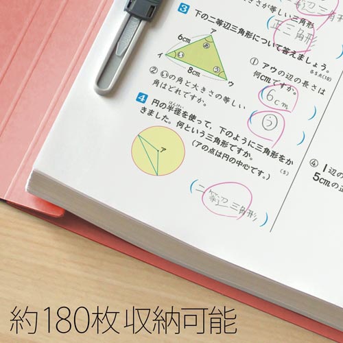 フラットＦ　年組氏名Ａ４タテ　ピンク１０冊