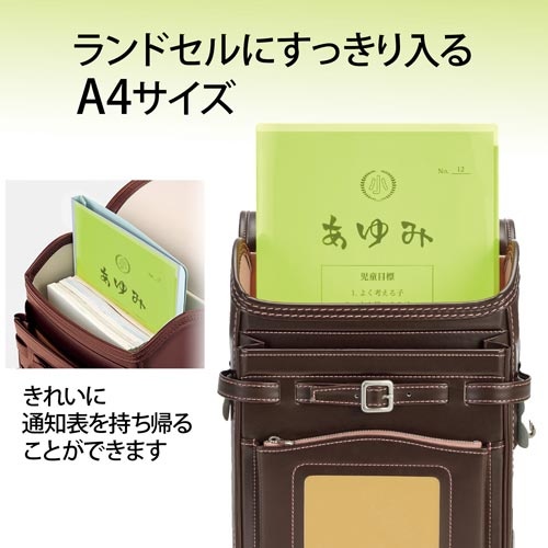通知表ホルダー　２ポケット　グリーン