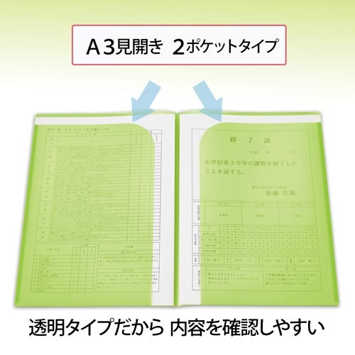 通知表ホルダー　２ポケット　グリーン