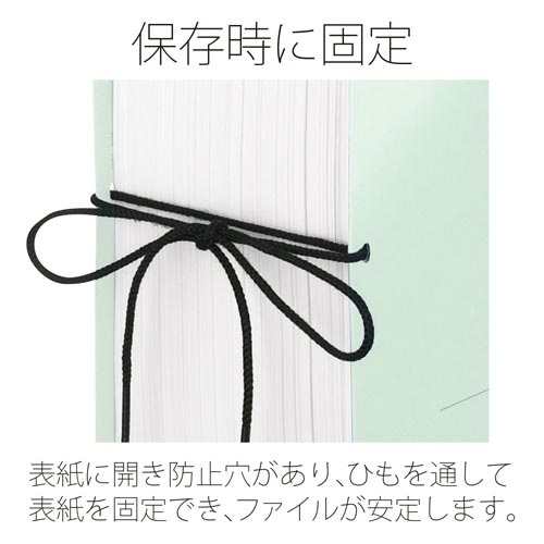 セノバスエコノミーつづりひもＡ４横　ブルー