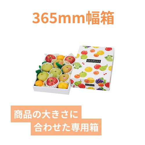 いろどりパレット（中Ｂ）