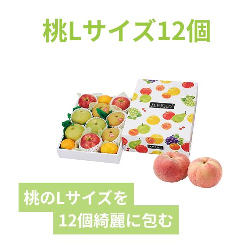 いろどりパレット（中Ｂ）