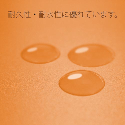 ＰＰフラットファイル　Ａ４縦　オレンジ　１０冊
