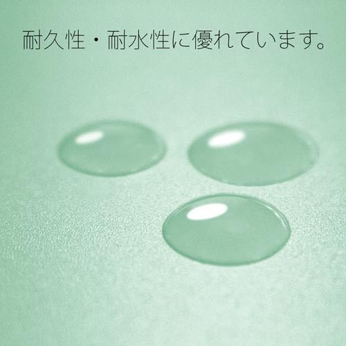 ＰＰフラットファイル　Ａ４縦　ブルー　１０冊
