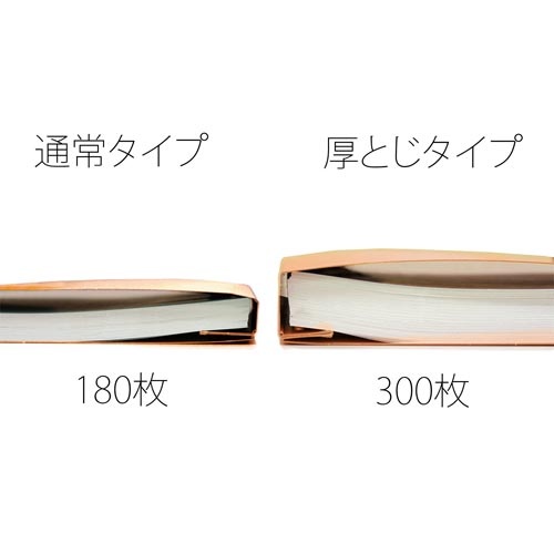 ＰＰフラットファイル　Ａ４縦　厚とじオレンジ　１冊