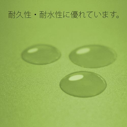 ＰＰフラットファイルＡ４縦厚とじリーフグリーン１冊