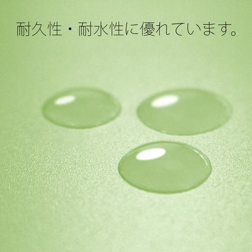 ＰＰフラットファイルＡ４縦　厚とじグリーン　１０冊