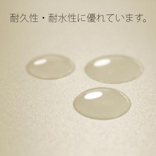 ＰＰフラットファイル　Ａ４横　アイボリー　１０冊