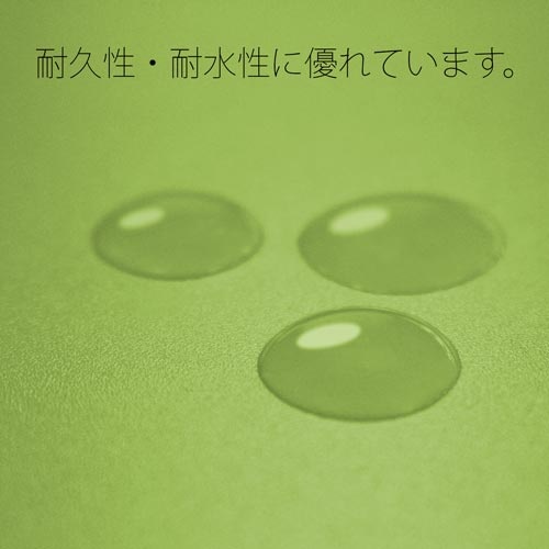 ＰＰフラットファイル　Ａ４横　リーフグリーン　１冊