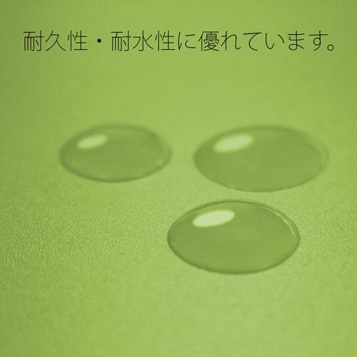 ＰＰフラットファイルＡ３二つ折りリーフグリーン１冊
