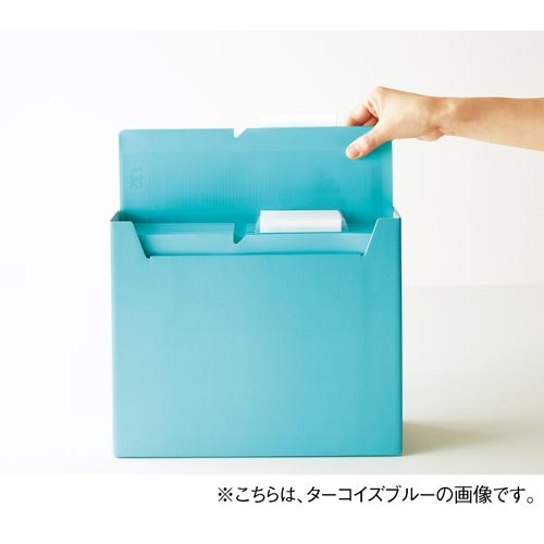 個別フォルダー＜ＮＥＯＳ＞Ａ４　３０ｍｍ緑　１０冊