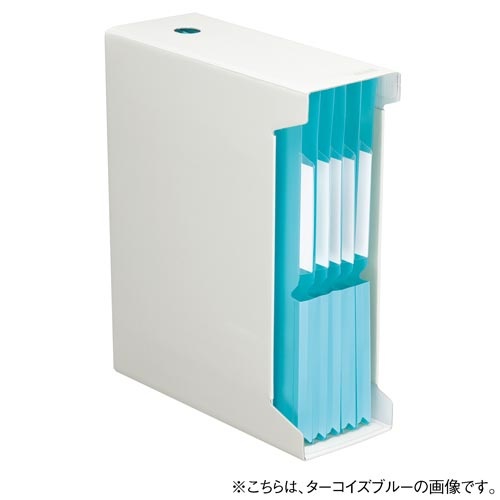 個別フォルダー＜ＮＥＯＳ＞Ａ４　３０ｍｍ白　１０冊