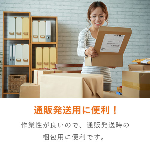 CPP袋　A4・DM用サイズ（厚口・テープ付き）