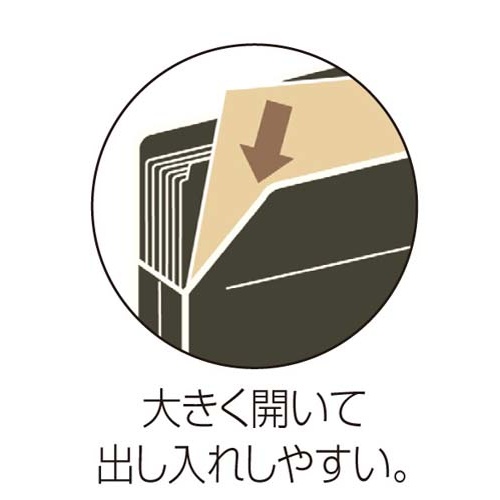 ６インデックスフォルダーＡ４　ブルー　１０冊