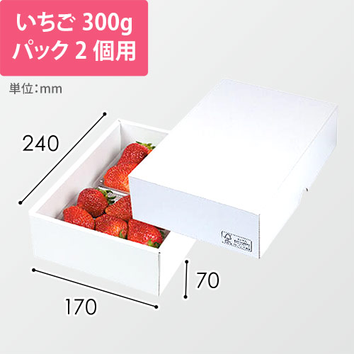 パール２１　ＦＳ