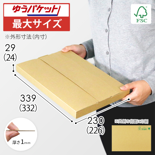 【FSC認証】厚さ3cm・テープレスケース（A4サイズ・ゆうパケット・クリックポスト）