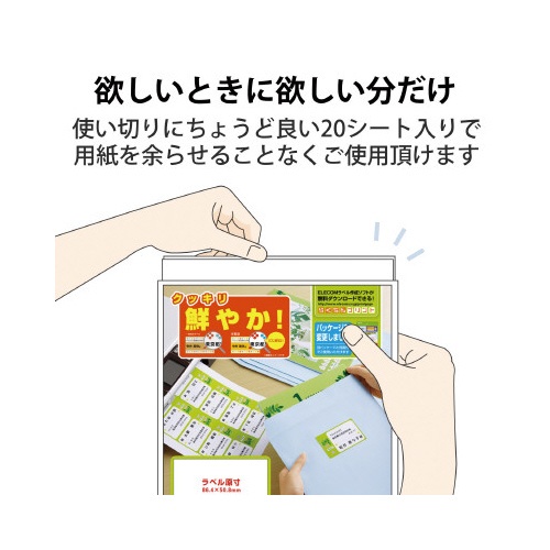 さくさくラベル　宛名・表示　Ａ４　１０面　２０枚