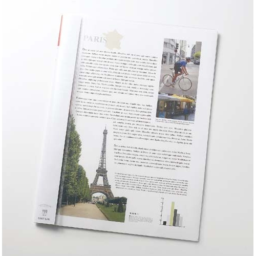 ルーパーフラットファイル　Ａ４縦　赤　１冊