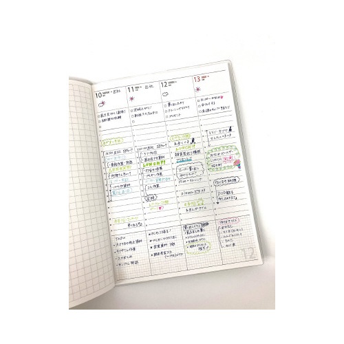 サラサナノ　０．３　ダークグレー　１０本