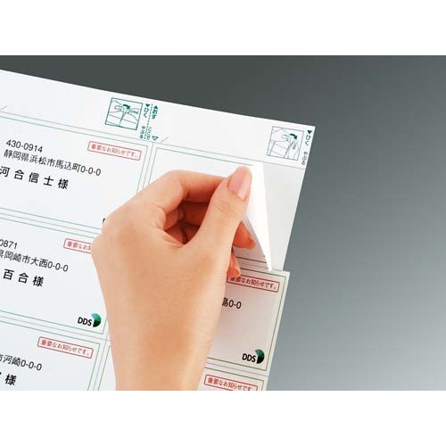 はかどりラベル　Ａ４　１０面　キヤノン　２０枚