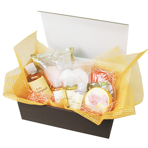 カラーBOX ブラウン（258×180×高87mm）