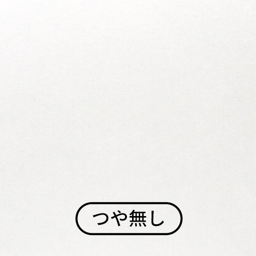 カラーBOX ホワイト（238×165×高57mm）