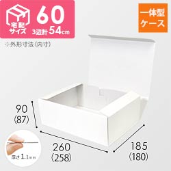 カラーBOX ホワイト（258×180×高87mm）