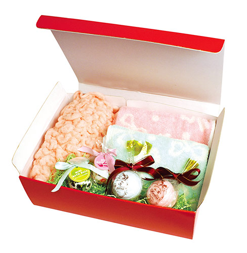 カラーBOX レッド（298×205×高87mm）