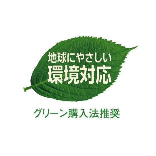 ＰＥＴ下敷　Ｂ５　クリア