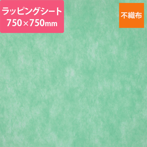 sDzbsOV[giCG[O[E750×750mmj<1200>