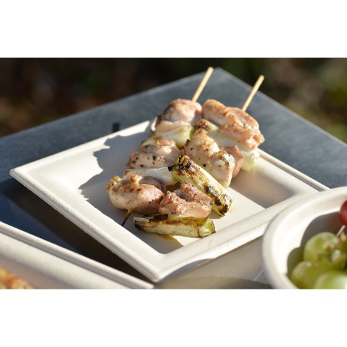 バガスモールドスクエアプレート１６ｃｍ　５０Ｐ