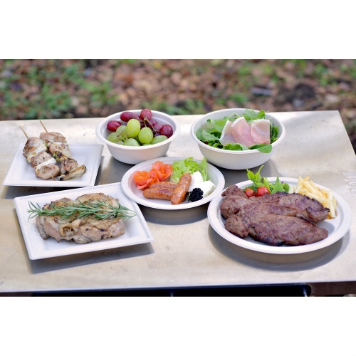 バガスモールドスクエアプレート１６ｃｍ　５０Ｐ