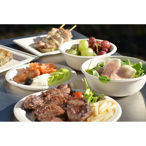 バガスモールドスクエアプレート１６ｃｍ　５０Ｐ