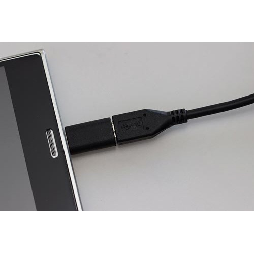 【廃番商品】ＵＳＢ２．０準拠　Ｔｙｐｅ?Ｃ変換アダプタ