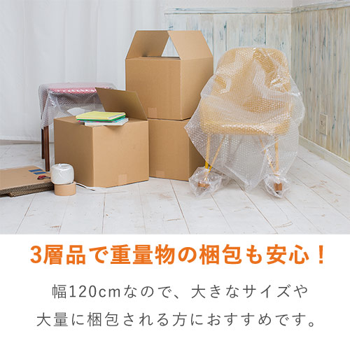ユタカメイク プチ養生シート 幅1200mm×10m巻 A3810