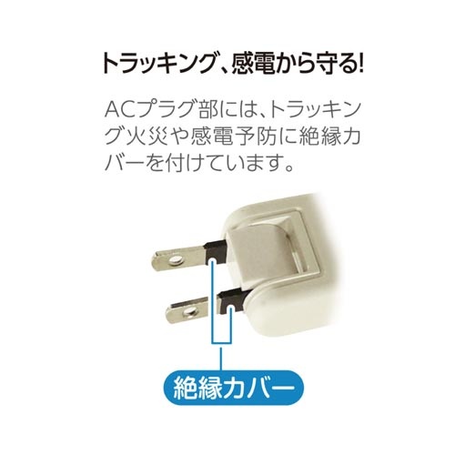 【廃番商品】ＡＣタップ＆ＵＳＢ　２＋２　１．０ｍ　雷ガード