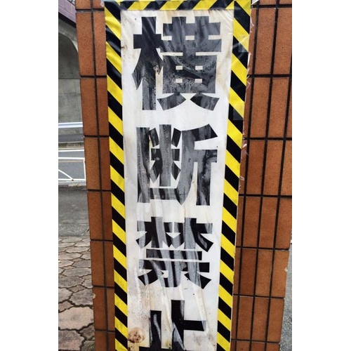 パイオランクロスＴＴ−０６−ＹＢ　トラ柄×６