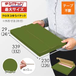 【グリーン色】厚さ3cm・テープレスケース（A4サイズ・クリックポスト・ゆうパケット）