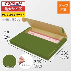 【グリーン色】厚さ3cm・テープレスケース（A4サイズ・クリックポスト・ゆうパケット）