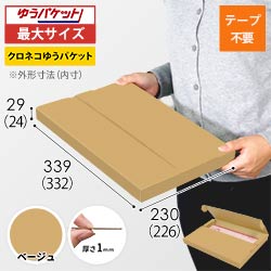 【ベージュ色】厚さ3cm・テープレスケース（A4サイズ・クリックポスト・ゆうパケット）