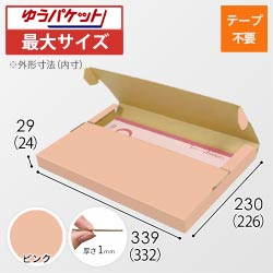 【ピンク色】厚さ3cm・テープレスケース（A4サイズ・クリックポスト・ゆうパケット）