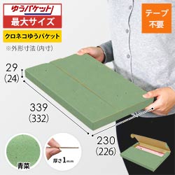 【青菜色】厚さ3cm・テープレスケース（A4サイズ・クリックポスト・ゆうパケット）