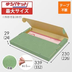 【青菜色】厚さ3cm・テープレスケース（A4サイズ・クリックポスト・ゆうパケット）