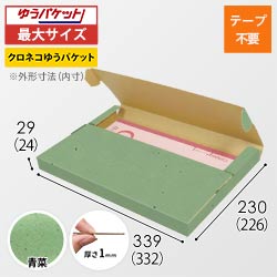 【青菜色】厚さ3cm・テープレスケース（A4サイズ・クリックポスト・ゆうパケット）