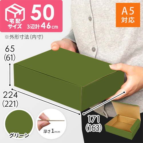 【グリーン色】宅配60サイズ・N式ケース（A5サイズ）