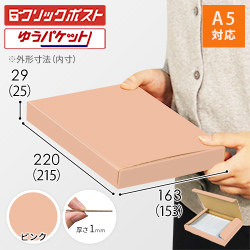 【ピンク色】厚さ3cm・N式ケース（A5サイズ・クリックポスト・ゆうパケット）