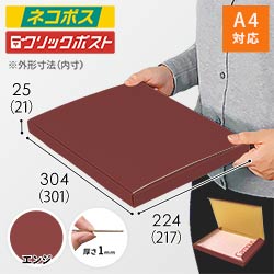 【エンジ色】厚さ2.5cm・N式ケース（A4サイズ・クロネコゆうパケット・クリックポスト）