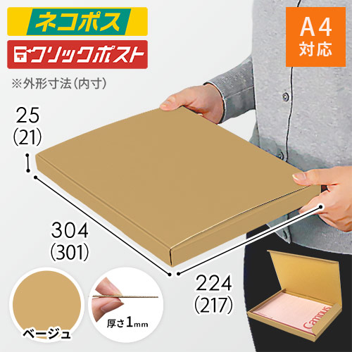 【ベージュ色】厚さ2.5cm・N式ケース（A4サイズ・クロネコゆうパケット・クリックポスト）
