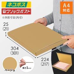 【ベージュ色】厚さ2.5cm・N式ケース（A4サイズ・クロネコゆうパケット・クリックポスト）